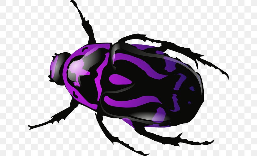 Beetle Download Clip Art, PNG, 640x498px, Beetle, Arthropod, Artwork, Dung Beetle, Fly Download Free