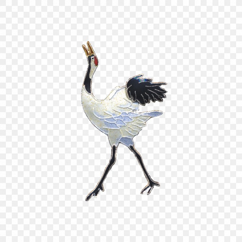 Water Bird Galliformes Beak Feather, PNG, 900x900px, Bird, Beak, Crane, Crane Like Bird, Fauna Download Free