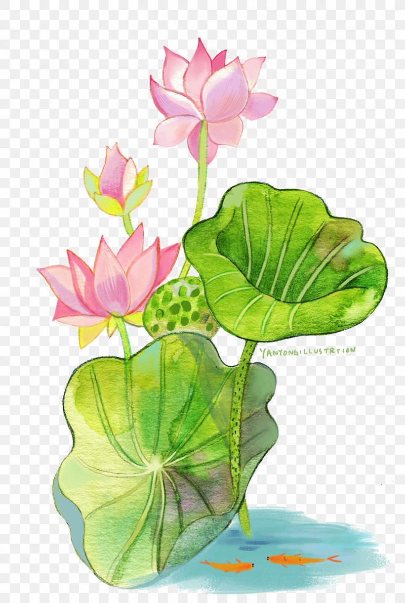 Watercolor Painting Nelumbo Nucifera, PNG, 1200x1786px, Watercolor Painting, Aquarium Decor, Aquatic Plant, Drawing, Flora Download Free