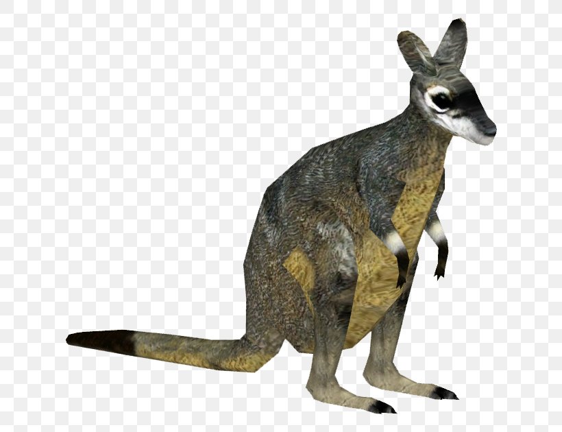Zoo Tycoon 2 Macropodidae Musky Rat-kangaroo Wallaby, PNG, 630x630px, Zoo Tycoon 2, Animal, Fauna, Kangaroo, Kangaroo Rat Download Free