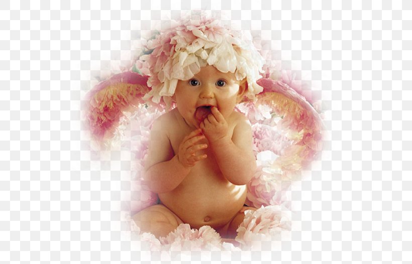 Anne Geddes Infant Photography, PNG, 536x526px, Anne Geddes, Angel, Artist, Child, Cuteness Download Free