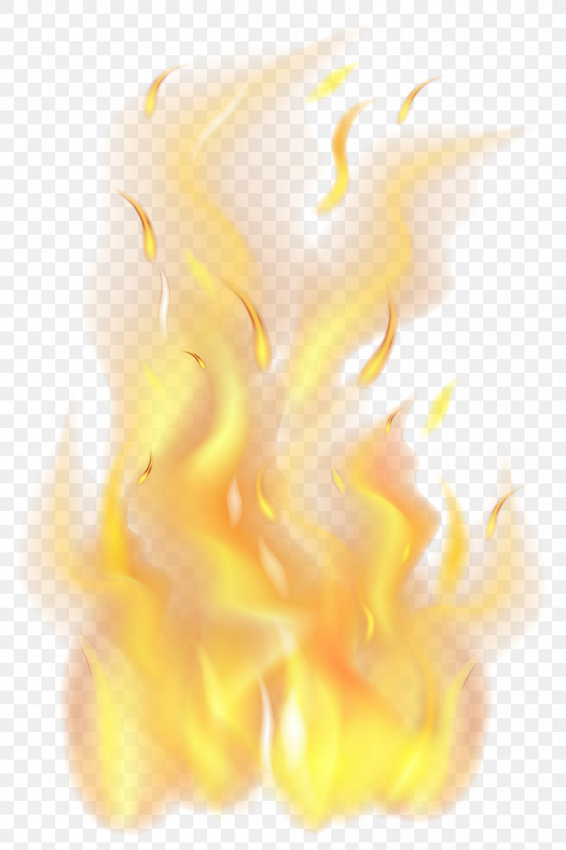 Flame Fire Transparency Logo Silhouette, PNG, 1998x3000px, Watercolor, Fire, Flame, Logo, Paint Download Free