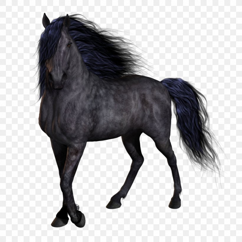 Horse Pony, PNG, 1024x1024px, Horse, Bridle, Computer Graphics, Fur, Horse Like Mammal Download Free