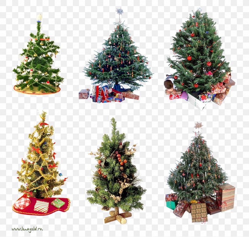 New Year Tree Christmas Tree Christmas Ornament, PNG, 1691x1612px, New Year Tree, Christmas, Christmas Decoration, Christmas Ornament, Christmas Tree Download Free