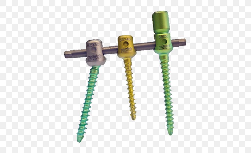 Screw Vertebral Column Spinal Fusion Ulrich Medical USA Vertebral Fixation, PNG, 500x500px, Screw, Dorsum, Hardware, Hardware Accessory, Implant Download Free