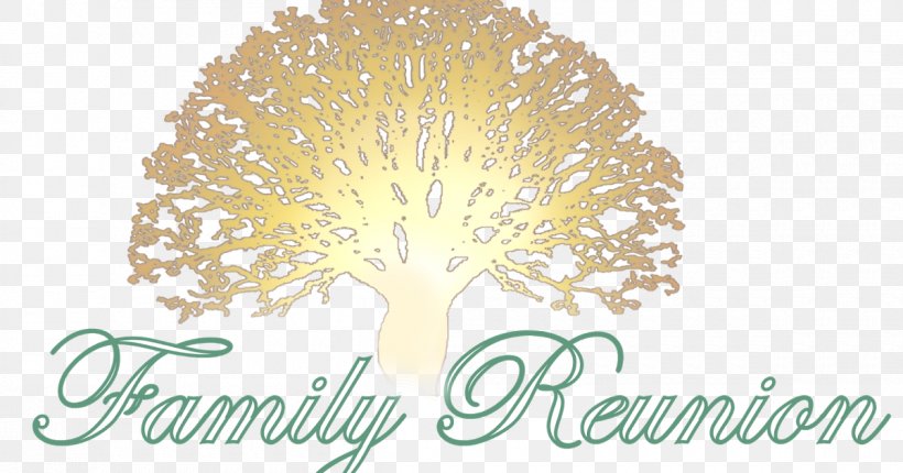 Wedding Invitation Family Reunion Genealogy Family Tree, PNG, 1200x630px, Wedding Invitation, Class Reunion, Family, Family Reunion, Family Tree Download Free