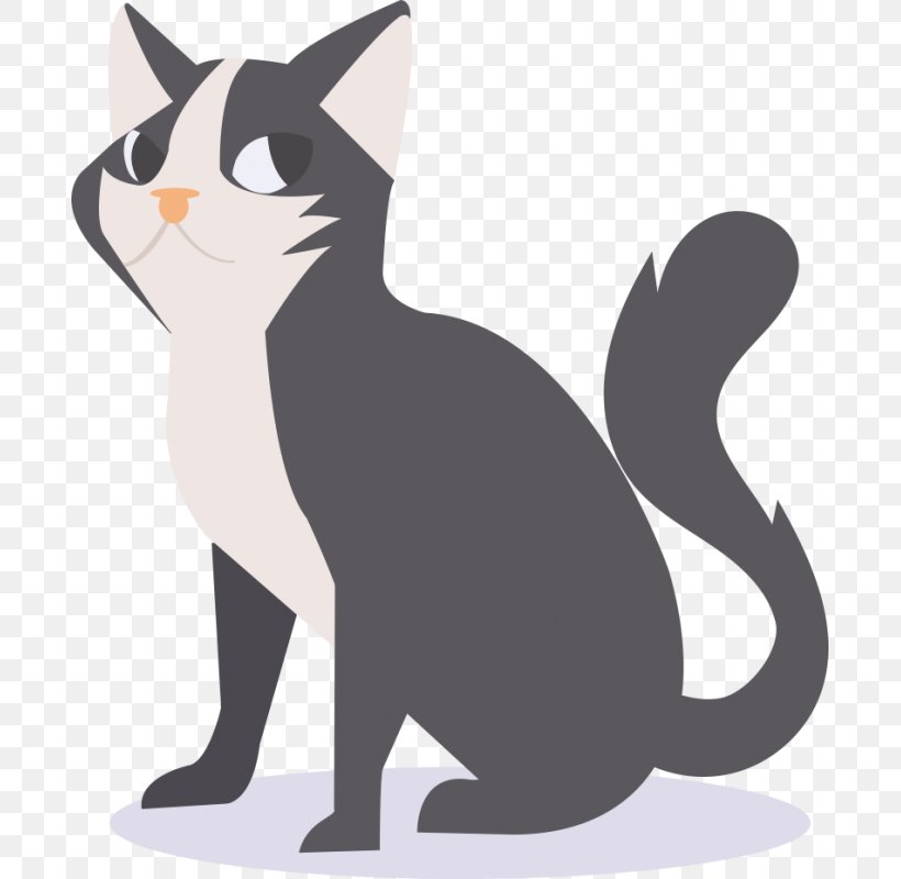 American Shorthair Kitten Cat Food Cat Breed Clip Art, PNG, 800x800px, American Shorthair, American Wirehair, Animal, Black, Black Cat Download Free