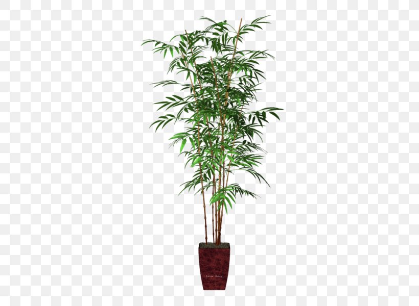 Areca Palm Houseplant Flowerpot Bamboo Veitchia, PNG, 296x600px, Areca Palm, Arecaceae, Arecales, Artificial Flower, Bamboo Download Free