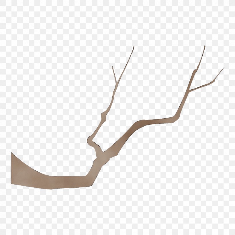 Branch Twig, PNG, 1200x1200px, Watercolor, Branch, Paint, Twig, Wet Ink Download Free