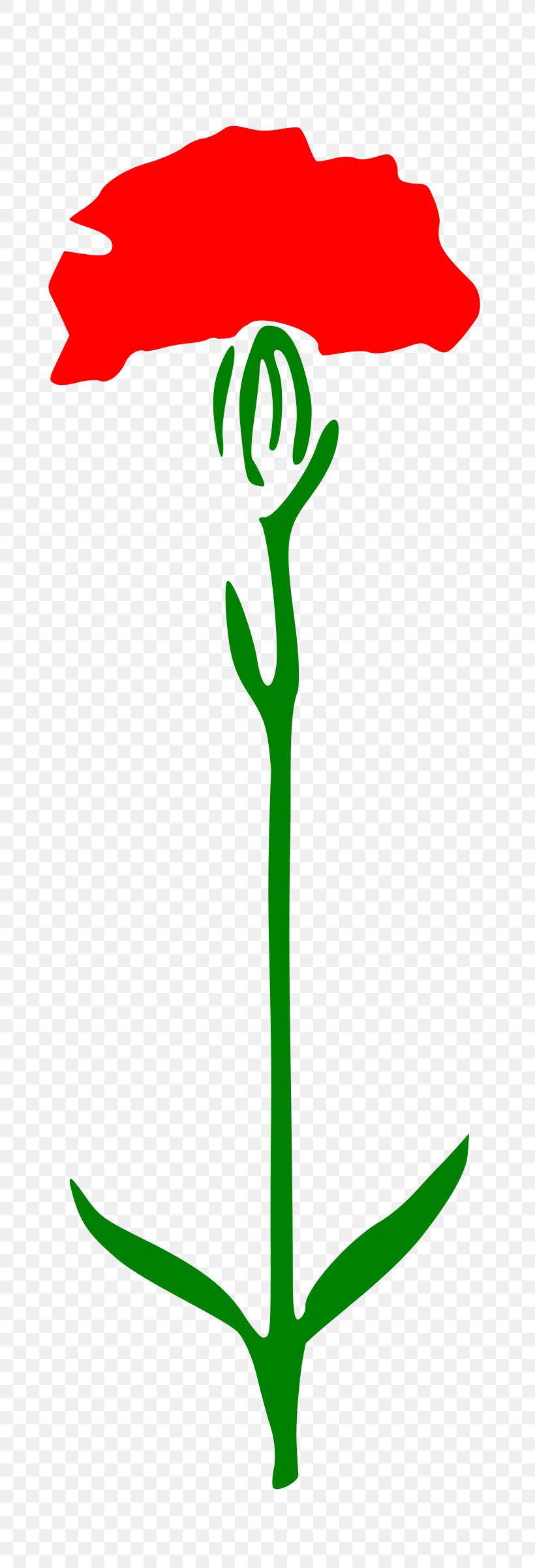 Carnation Clip Art, PNG, 785x2400px, Carnation, Artwork, Flora, Flower, Grass Download Free