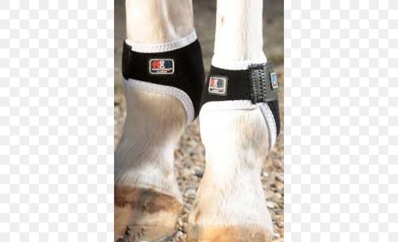 Horse Fetlock Joint Splint Boots Magnetic Boots, PNG, 500x500px, Horse, Bipolar Disorder, Boot, Craft Magnets, Fetlock Download Free