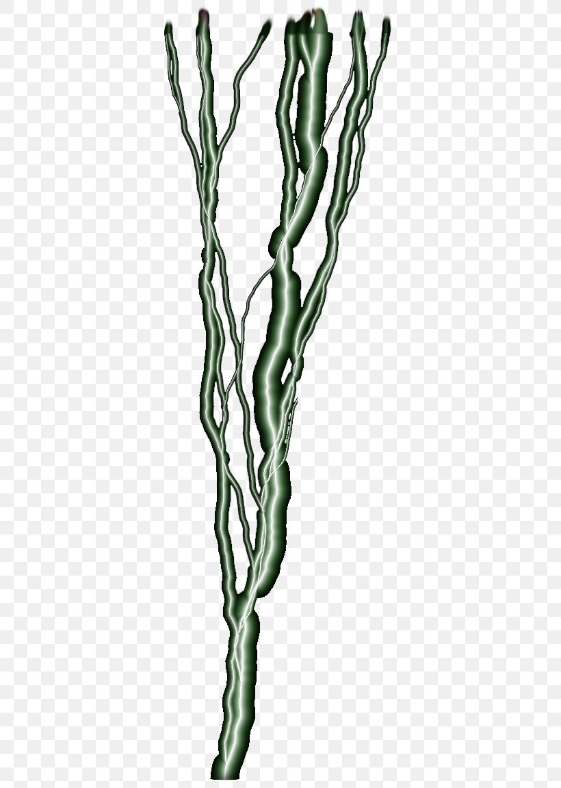 Twig Flowering Plant Plant Stem H&M, PNG, 379x1150px, Twig, Branch, Flowering Plant, Hand, Organism Download Free