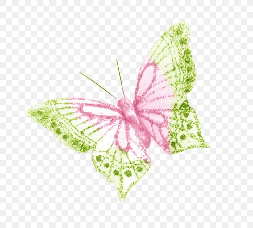 Image Brush-footed Butterflies Design Butterfly, PNG, 740x740px, Brushfooted Butterflies, Brush Footed Butterfly, Butterfly, Green, Insect Download Free
