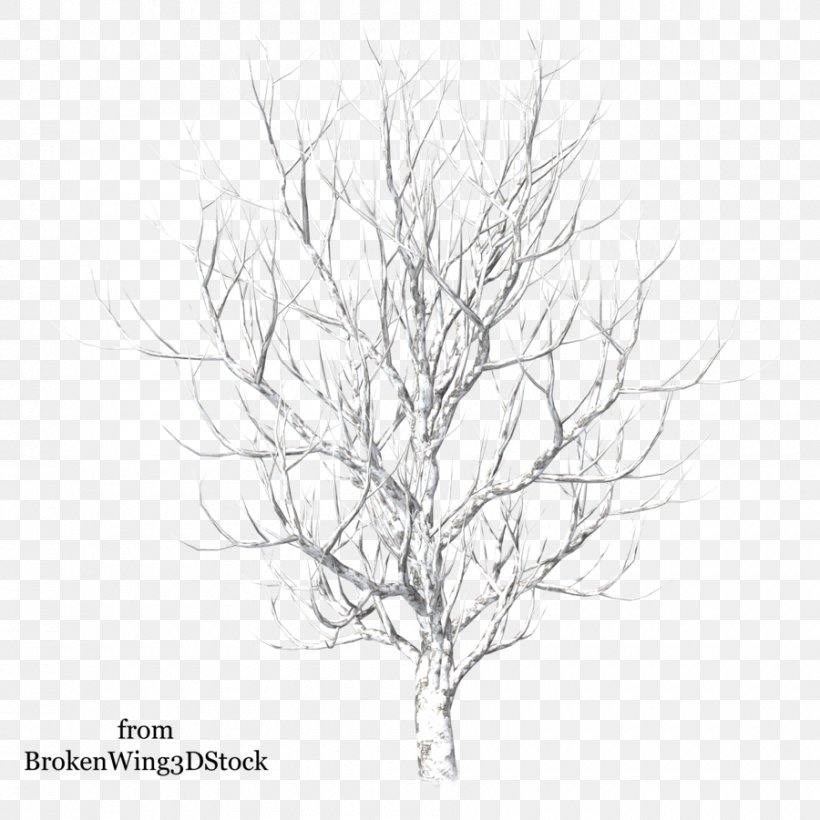 Winter Tree Drawing Snow, PNG, 900x900px, Winter, Artwork, Black And White, Branch, Drawing Download Free