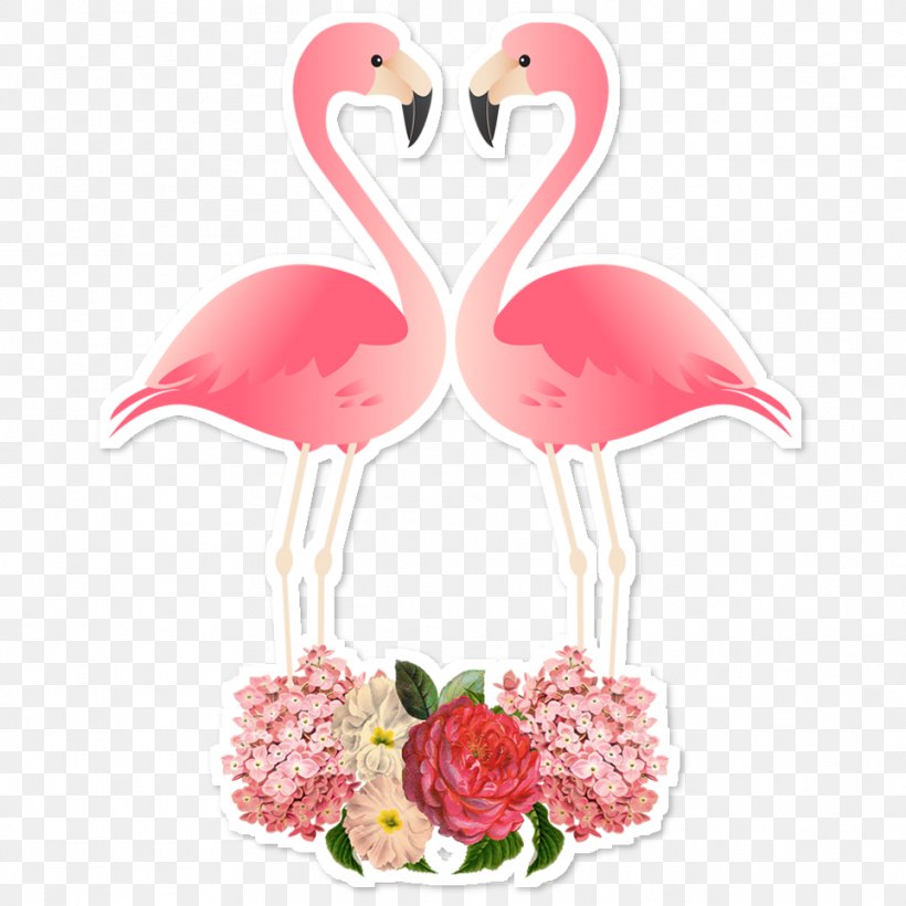 Flamingos Bird Paper Wallpaper, PNG, 962x962px, Flamingos, Animal, Beak, Bird, Cut Flowers Download Free