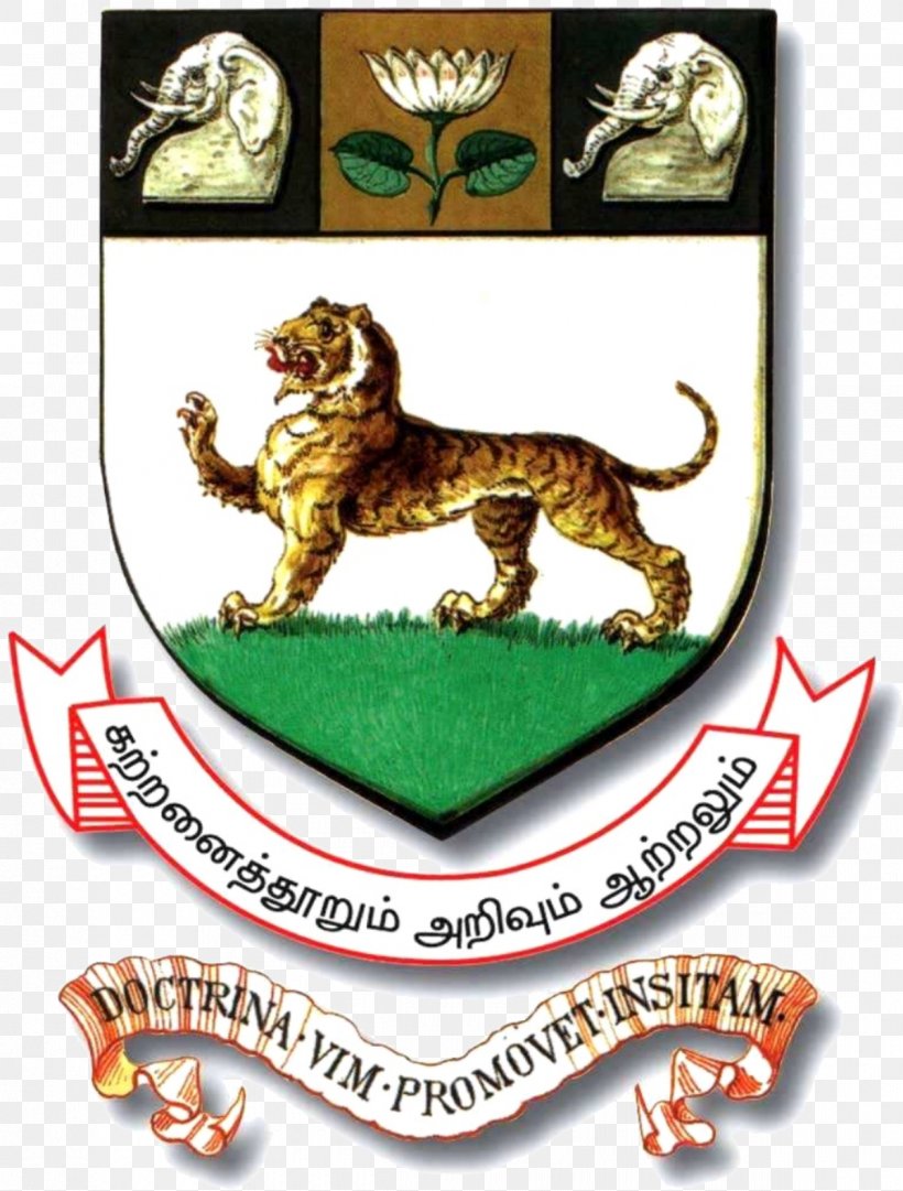 University Of Madras Ramanujan Institute For Advanced Study In Mathematics Education College, PNG, 1200x1583px, University Of Madras, Academic Degree, Campus, Carnivoran, Cat Like Mammal Download Free