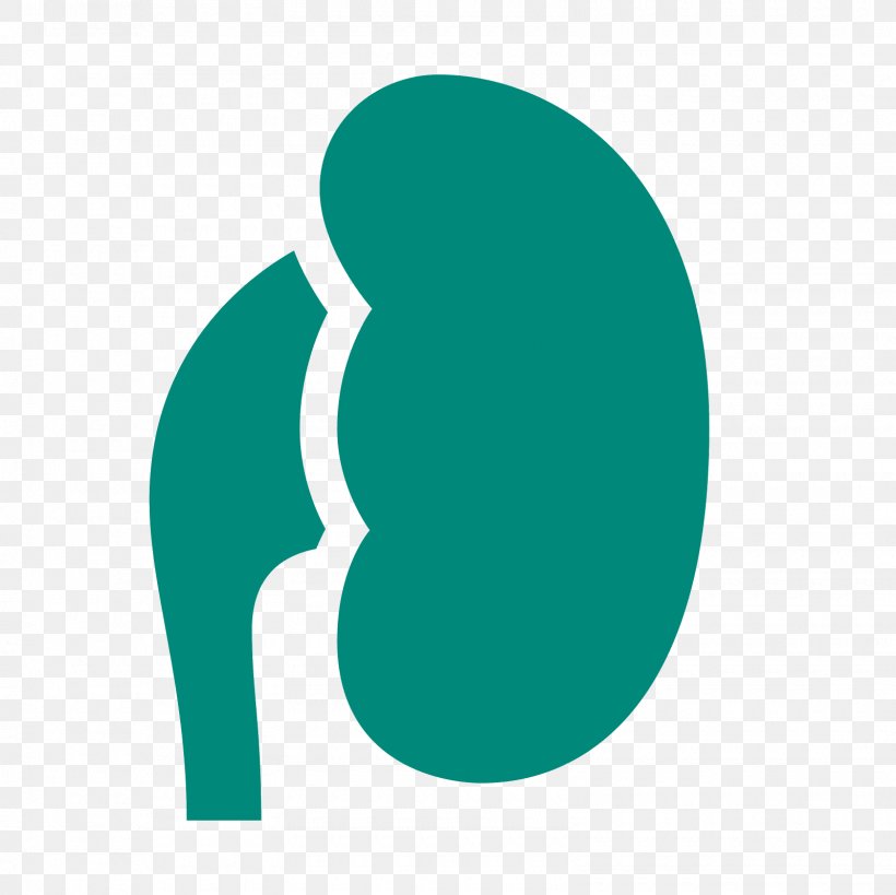 Clip Art, PNG, 1600x1600px, Turquoise, Aqua, Green, Heart, Large Intestine Download Free