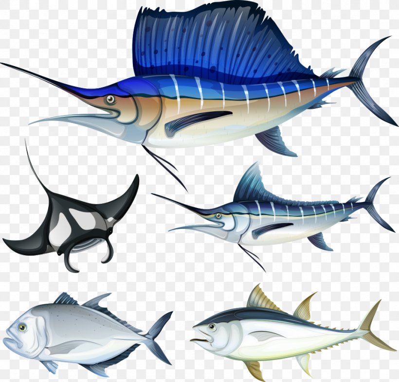 Fish Hook Illustration, PNG, 952x913px, Fish, Adobe Creative Cloud, Billfish, Bony Fish, Cartilaginous Fish Download Free