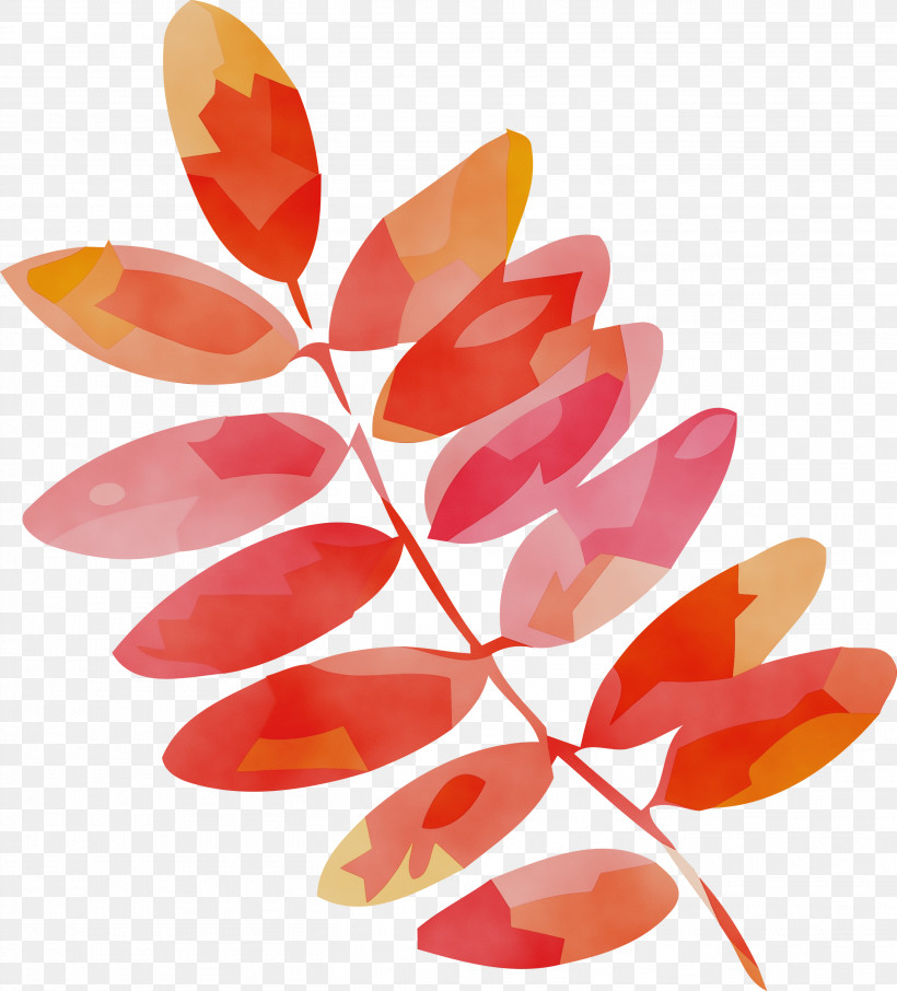 Leaf Petal Science Plant Structure Biology, PNG, 2714x3000px, Watercolor, Biology, Leaf, Paint, Petal Download Free