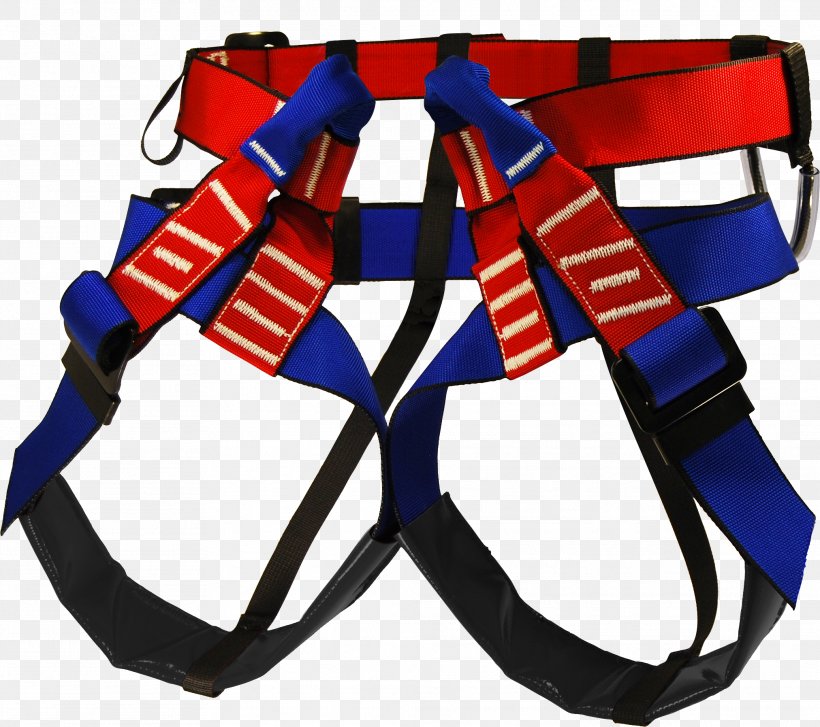 Speleology Caving Climbing Harnesses Harnais Canyoning, PNG, 2024x1796px, Speleology, Ascender, Belay Rappel Devices, Blue, Canyoning Download Free