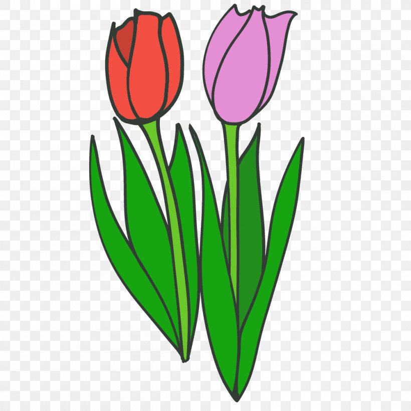 Tulip Cut Flowers Illustration Plant Stem, PNG, 1000x1000px, Tulip, Cut Flowers, Flower, Flowering Plant, Leaf Download Free