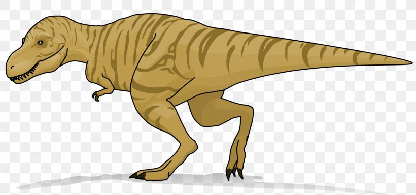 Tyrannosaurus Triceratops Velociraptor Tyrannosauridae Dinosaur, PNG, 2000x938px, Tyrannosaurus, Animal Figure, Beak, Bone, Chevron Download Free