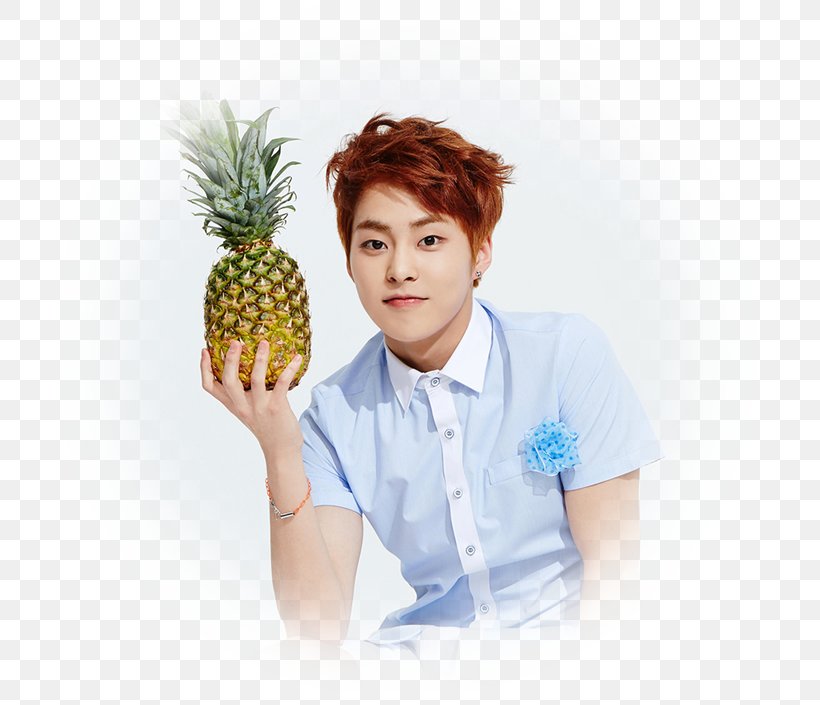 Xiumin EXO Lotto Ivy Club Corporation K-pop, PNG, 705x705px, Xiumin, Ananas, Chen, Delight, Exo Download Free