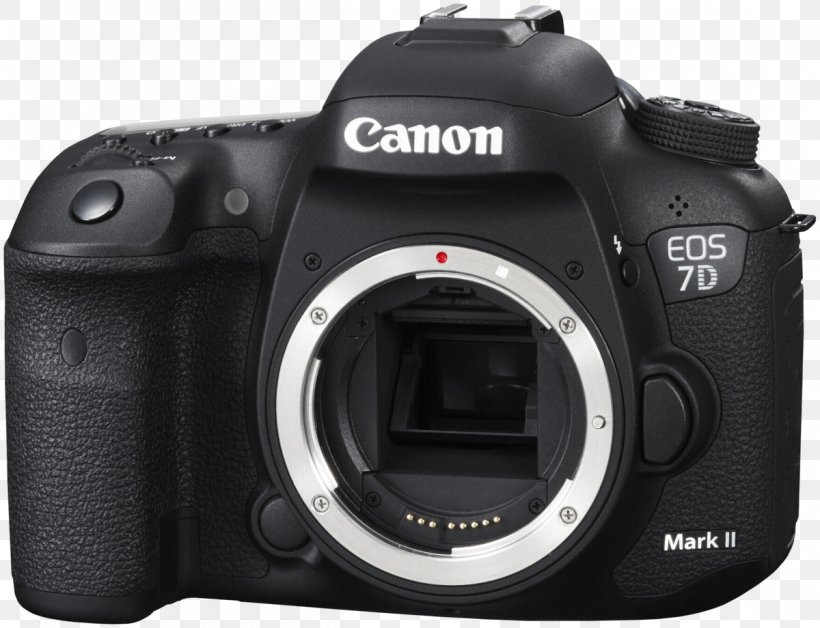 Canon EOS 7D Digital SLR Camera Active Pixel Sensor, PNG, 1200x920px, Canon Eos 7d, Active Pixel Sensor, Body Only, Camera, Camera Accessory Download Free