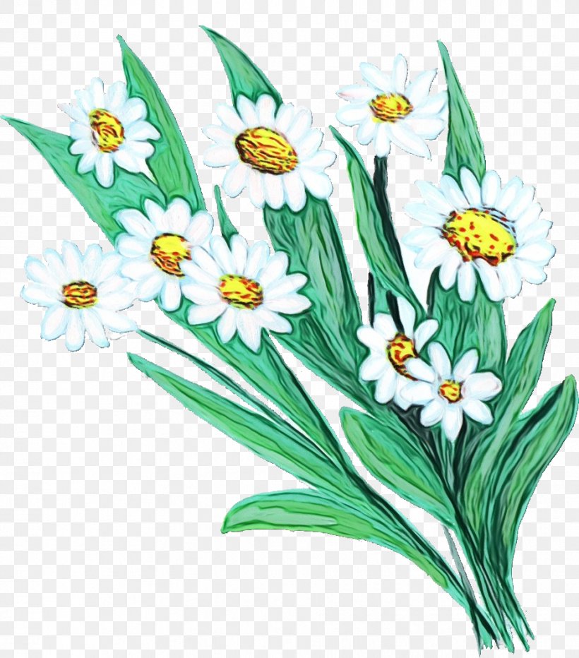 Clip Art Illustration Narcissus Herbaceous Plant Plant Stem, PNG, 932x1060px, Narcissus, Botany, Camomile, Chamomile, Character Download Free