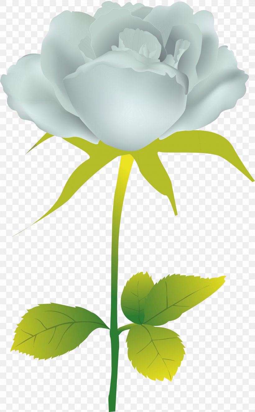Garden Roses Illustration Vector Graphics Clip Art Desktop Wallpaper, PNG, 3300x5342px, Garden Roses, Botany, Cabbage Rose, Chinese Peony, Common Peony Download Free