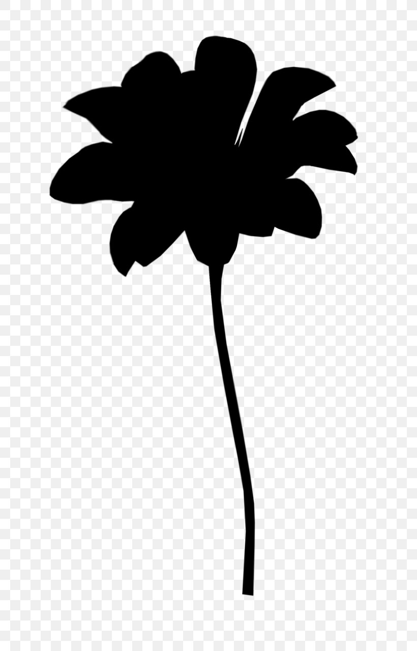 Leaf Clip Art Plant Stem Silhouette Line, PNG, 709x1280px, Leaf, Arecales, Blackandwhite, Botany, Flower Download Free