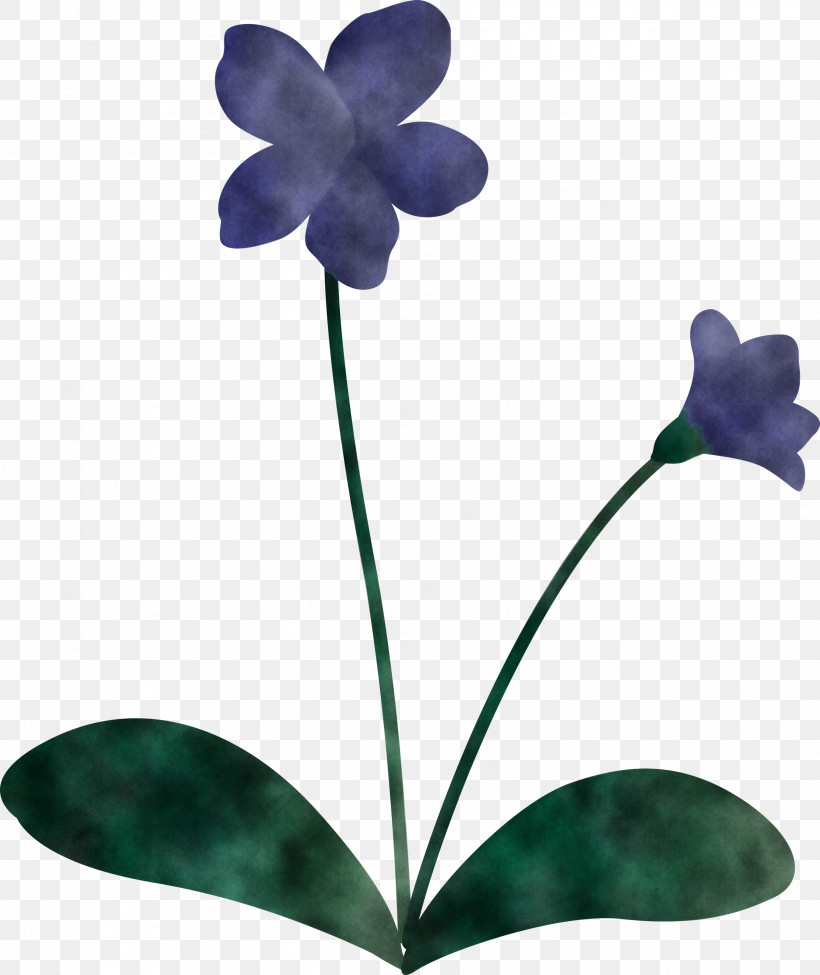 Violet Flower, PNG, 2523x3000px, Violet Flower, Annual Plant, Flower, Flowerpot, Herbaceous Plant Download Free