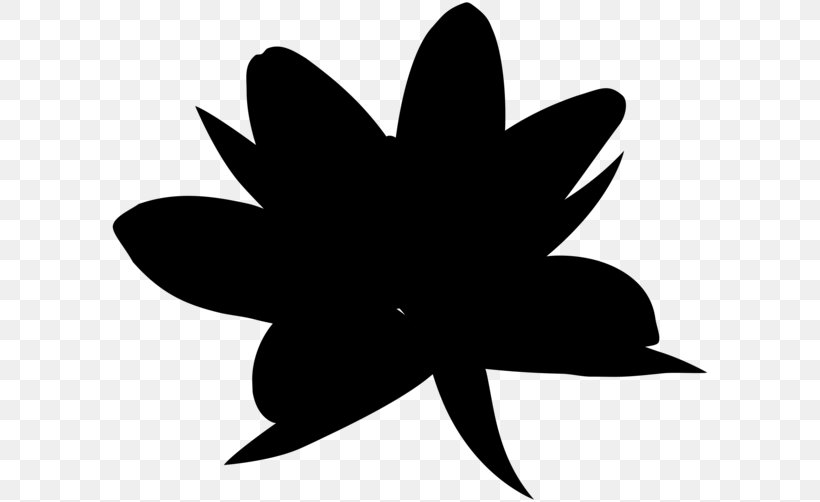 Black & White, PNG, 600x502px, Black White M, Black, Blackandwhite, Botany, Flower Download Free