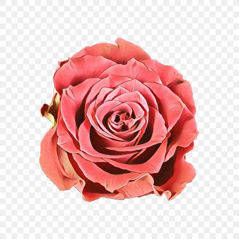 Garden Roses Cabbage Rose Floribunda Cut Flowers, PNG, 1000x1001px, Garden Roses, Artificial Flower, Bouquet, Cabbage Rose, Camellia Download Free