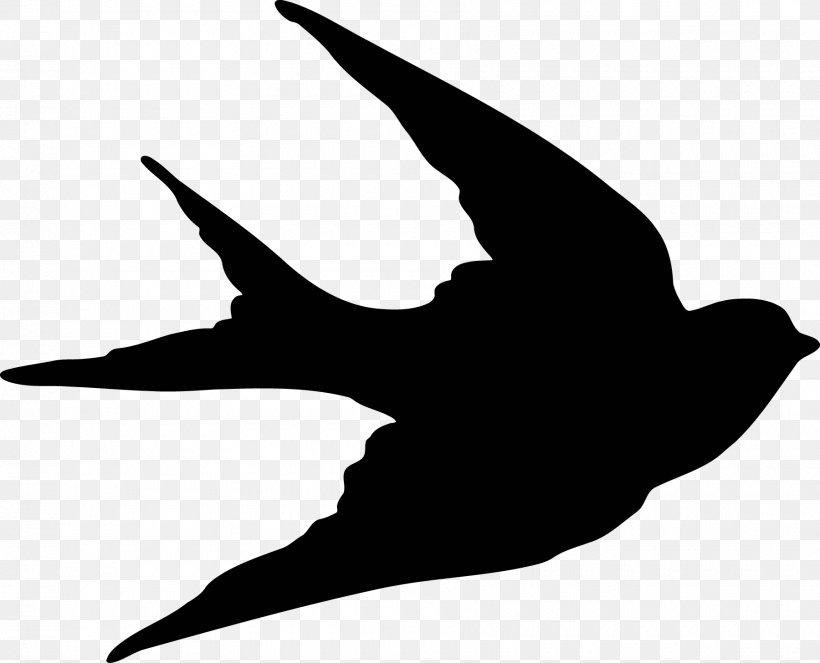 Bird Sparrow Swallow Silhouette Clip Art, PNG, 1800x1456px, Bird, Beak, Black And White, Dolphin, Drawing Download Free