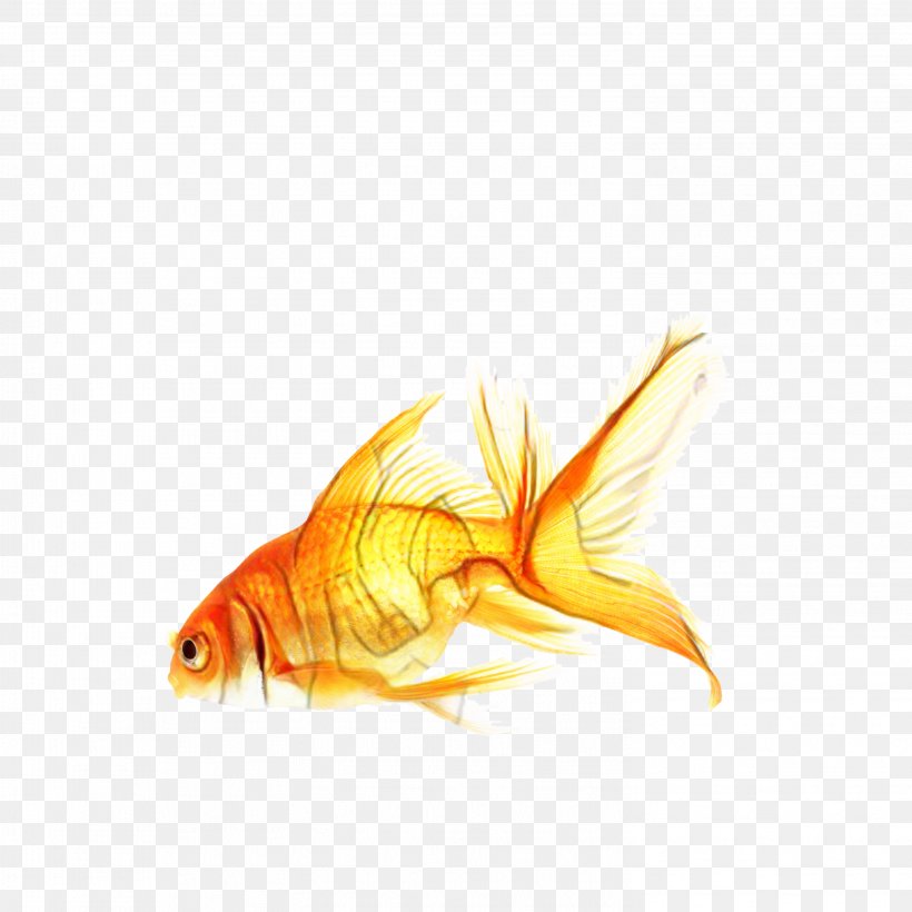 Fish Cartoon, PNG, 2953x2953px, Goldfish, Bonyfish, Feeder Fish, Fin, Fish Download Free