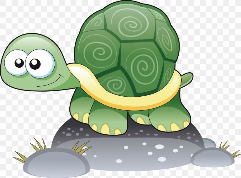 Turtle Cartoon Drawing, PNG, 2800x2077px, Turtle, Amphibian, Animal, Cartoon, Child Download Free