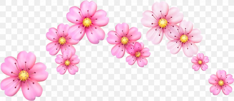 Cherry Blossom Emoji Flower Image, PNG, 1803x782px, Blossom, Cherries, Cherry Blossom, Emoji, Emoticon Download Free
