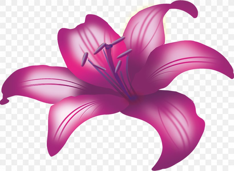 Flower Lilium Plant Purple Google Images, PNG, 1200x879px, Flower, Color, Flowering Plant, Google Images, Herbaceous Plant Download Free