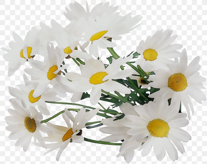 Chrysanthemum Oxeye Daisy Floral Design Roman Chamomile Cut Flowers, PNG, 1487x1181px, Chrysanthemum, Artificial Flower, Aster, Bouquet, Camomile Download Free