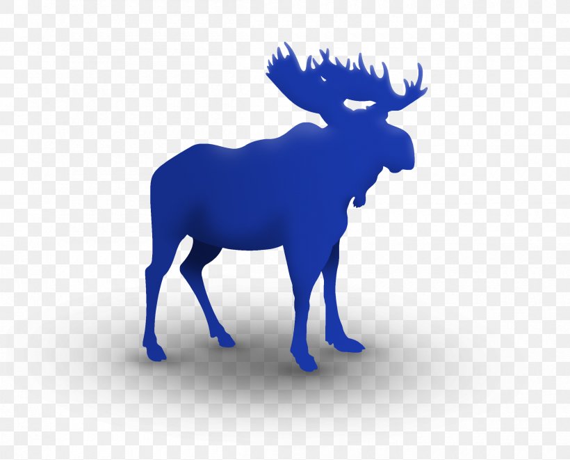 Moose On The Loose Family Fun Run & 5K Deer Birthday Clip Art, PNG, 2400x1936px, Moose, Antler, Biggame Hunting, Birthday, Cattle Like Mammal Download Free