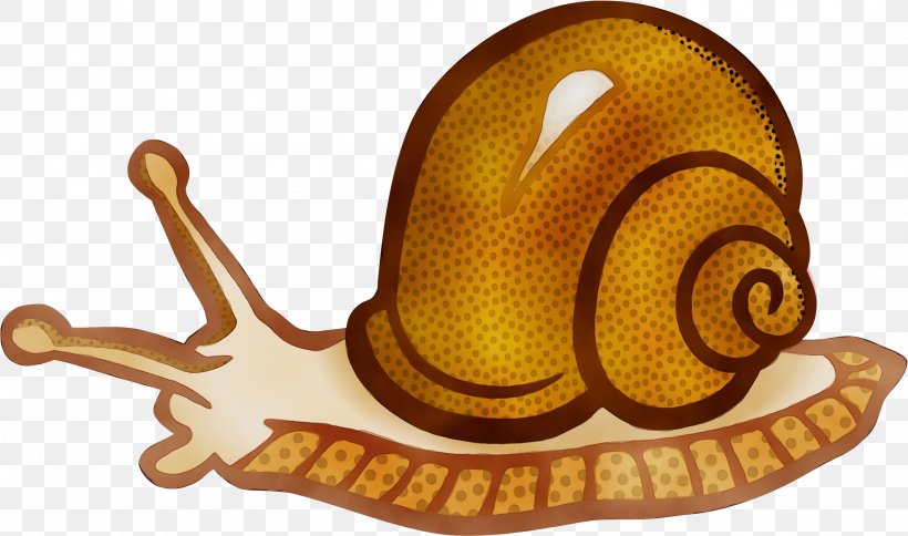 Snail Cartoon, PNG, 2247x1328px, Watercolor, Beer, Cooking Oils, Liter, Molluscs Download Free