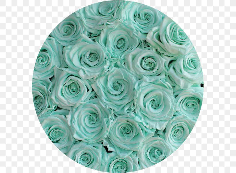 Cut Flowers Turquoise Petal, PNG, 597x600px, Cut Flowers, Aqua, Flower, Petal, Rose Download Free