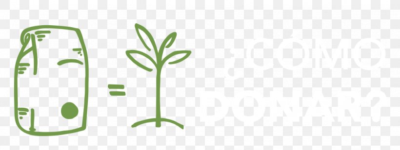 Leaf Plant Stem, PNG, 1024x387px, Leaf, Flora, Grass, Green, Organism Download Free