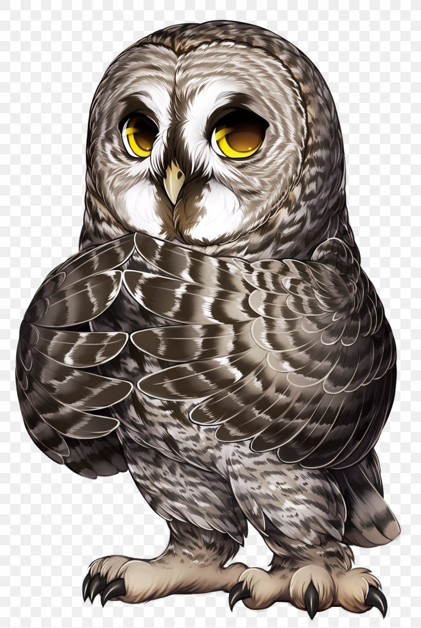 Owl Bird Bird Of Prey Great Grey Owl Western Screech Owl, PNG, 1160x1728px, Owl, Beak, Bird, Bird Of Prey, Eastern Screech Owl Download Free