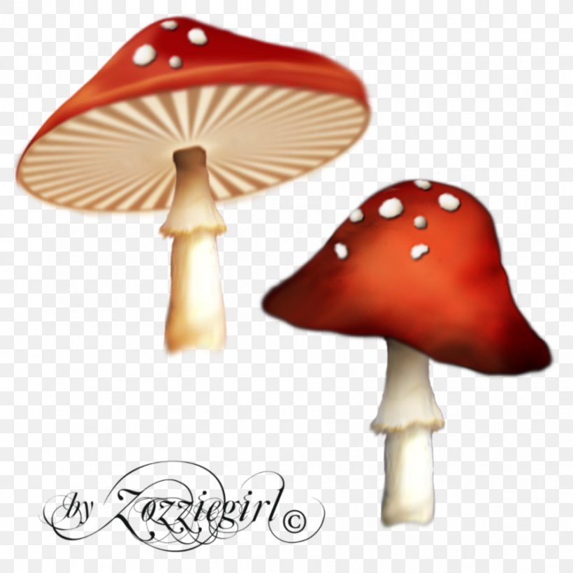 Psilocybin Mushroom Clip Art, PNG, 894x894px, Mushroom, Drawing, Edible Mushroom, Psilocybin, Psilocybin Mushroom Download Free
