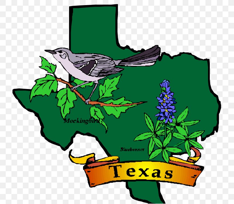 Texas Utah Symbol Bluebonnet Clip Art, PNG, 750x715px, Texas, Art, Artwork, Beak, Bird Download Free