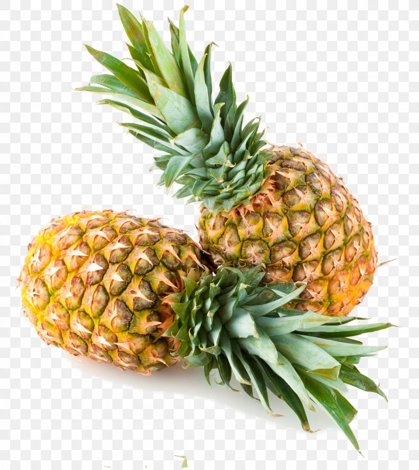 Tropical Fruit Pineapple Food Health, PNG, 1584x1776px, Fruit, Ananas, Bromeliaceae, Colada, Drink Download Free