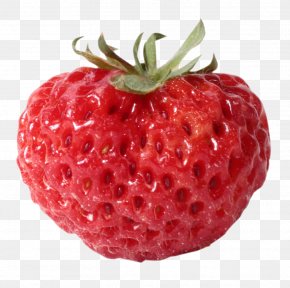 Toy - Children's Party Toy Sunnylife Cactus Pinata Pinata Tog Strawberry PNG