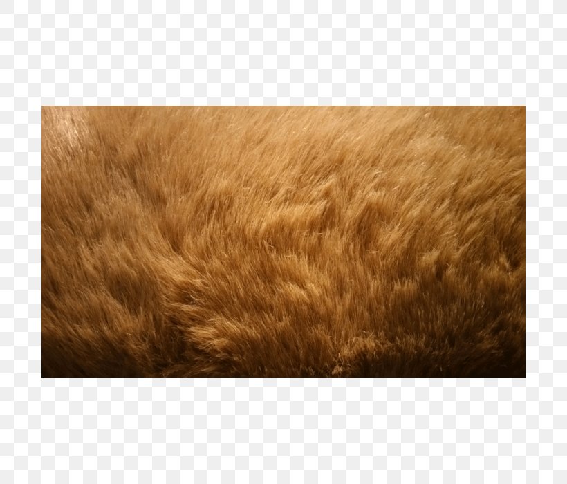 Fur Grasses Family, PNG, 700x700px, Fur, Commodity, Family, Grain, Grass Download Free